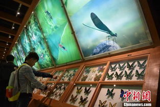 (封土堆图片)探索奇趣博物馆，探秘封土堆的进入之谜