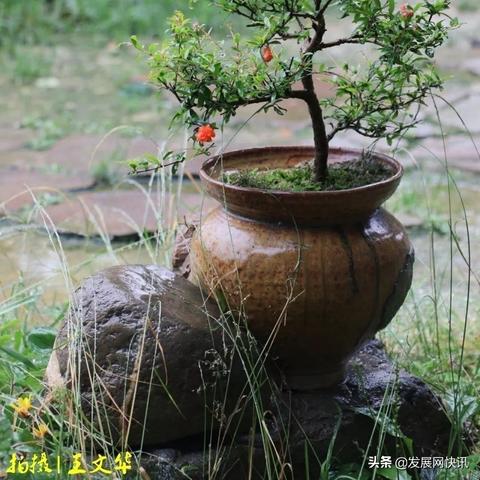 (游戏黎明之前剧情介绍)在游戏黎明之前：揭开神秘古文明的秘密