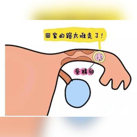 (hcg检测是啥)HCG是检查什么项目？高效综合性用途涵盖的检查内容是什么？