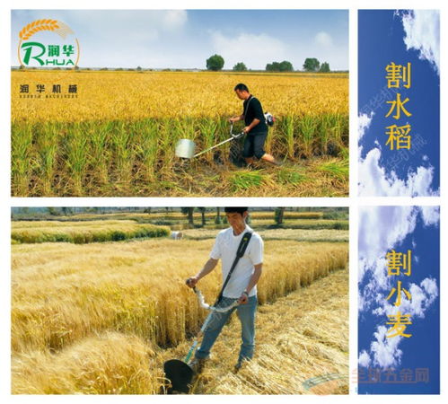 (割草割草割草)割草是什么？为什么它是保持草坪健康的关键步骤？