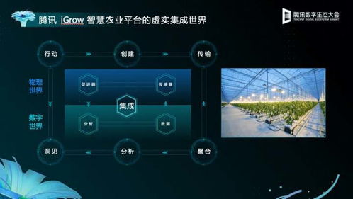 新澳门今晚开单还是双|科学分析解释落实_QHD.8.774