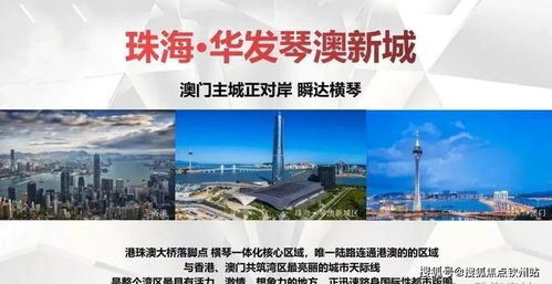新澳最新最快资料大全|实地研究解释落实_冰爽型.1.13