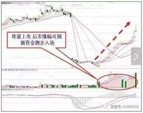 澳门四不像三肖三码|掌握趋势轻松应对市场变化_游戏版.8.121