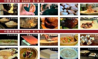 2024澳门精准正版资料大全酷知|探索古镇风情与美食之旅_VIP0.914