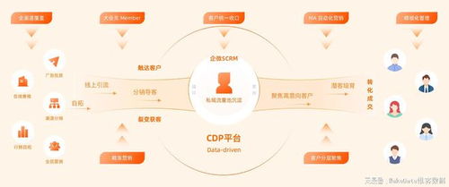 2024澳门天天开好彩大全65期|探索生活中的小确幸_HD版.7.901