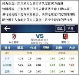 澳门彩先知中彩网2023年开奖|最新数据解释落实_经典版SSIP.8.233