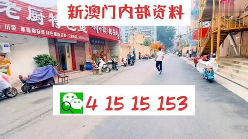 2024新澳门天天开好彩|经典解释落实_转变集.8.957