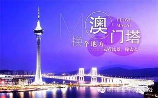 澳门最精准免费资料大全旅游景点|详细解读解释落实_开发品.4.706