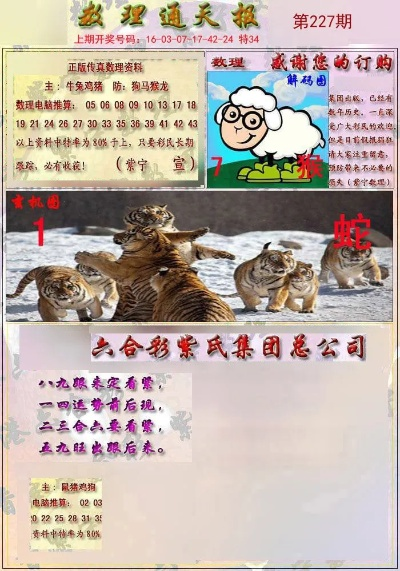 四不像2024年今期资料值得|实践验证解释落实_Lite.9.728