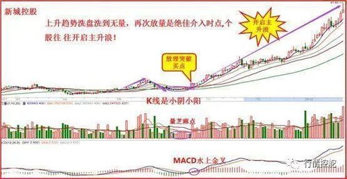 2024年澳门管家婆今晚资料|新趋势下的投资攻略与机遇_智慧版0.209
