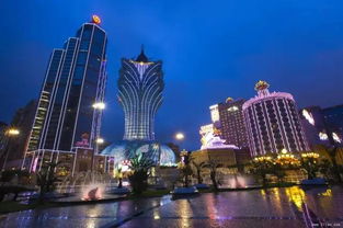 新澳门资料免费2024年49|发现未知世界的奇妙旅程_H版.7.769