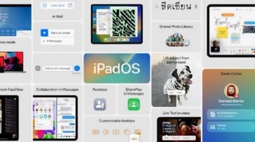 新澳好彩免费资料查询水果奶奶|现象解答解释落实_移动版IPAD.9.817