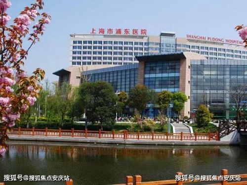 新奥彩最近50期开奖结果查询|综合分析解释落实_机动集.2.440