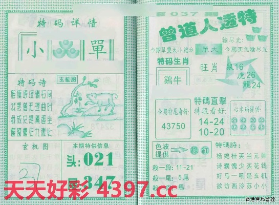 曾道正版资料免费大全网站|实地调研解释落实_工具包.2.50