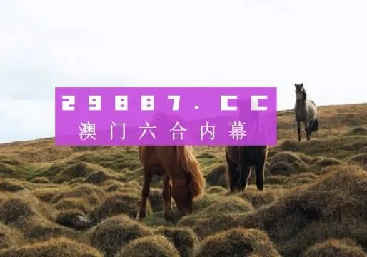 香港特马资料王中王 下载|数据解答解释落实_专注版.2.984