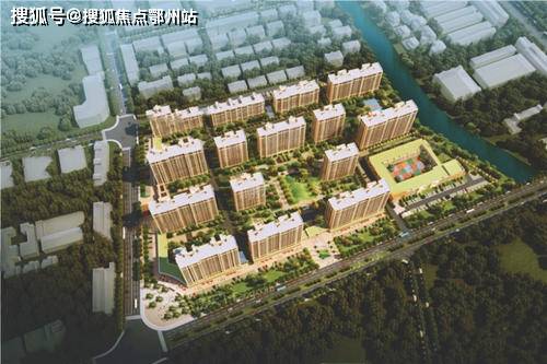 2024新奥正版资料四不象|高效解答解释落实_电子集.5.503
