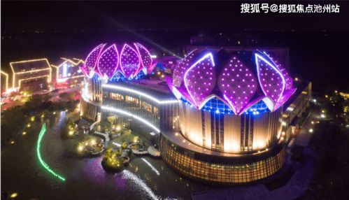 龙之融合最新官方版下载-龙之融合官网下载v.6.99